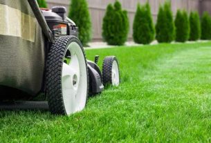 Top-Rated Lawn Care Service for Homes and Businesses