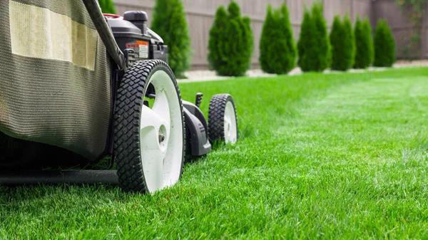 Top-Rated Lawn Care Service for Homes and Businesses
