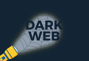 Dark Net Army and Online Power Dynamics