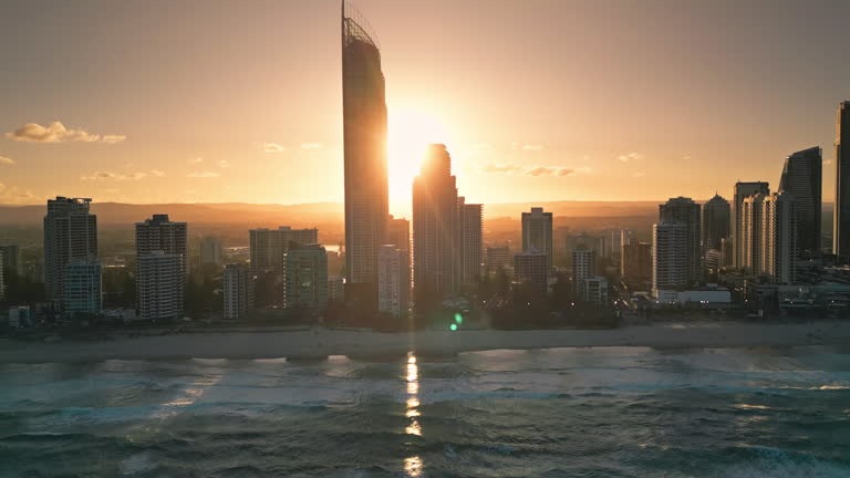 Surf Resources for Beginners Start Riding Waves Today