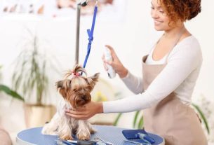 Professional Pet Grooming Port St. Lucie by Shampoochi Day Spa Mobile Grooming
