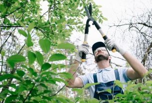 Tree Care Enterprises Safe Tree Cutting and Land Clearing Services
