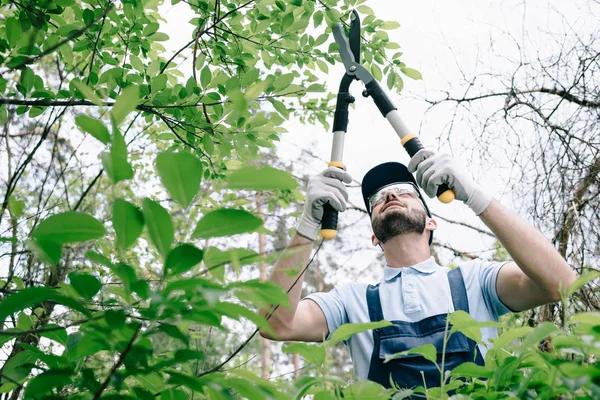 Tree Care Enterprises Safe Tree Cutting and Land Clearing Services