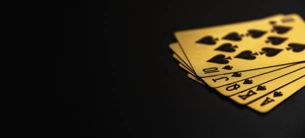 Nouveau casino en ligne élégant apprécié utilisateurs recherchant innovation numérique
