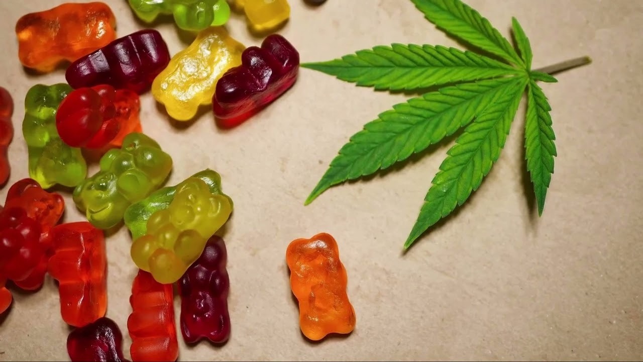 Everything You Need to Know About Live Rosin Gummies Before Buying