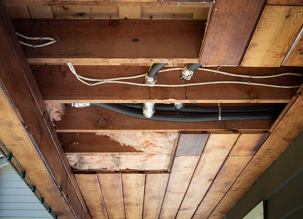 Professional Indianapolis Crawl Space Services for Mold Prevention