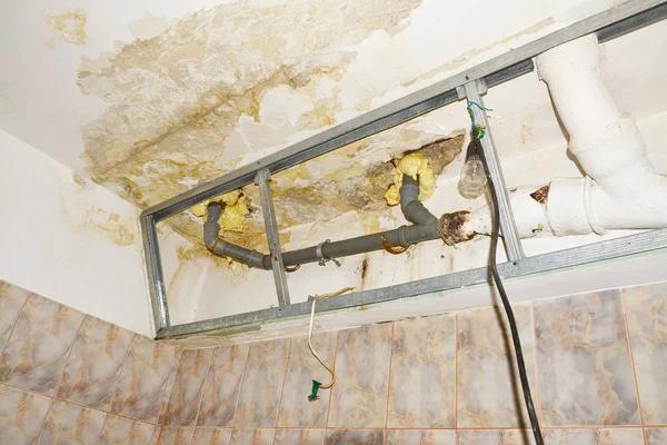 Affordable Water Damage Repair and Restoration Services