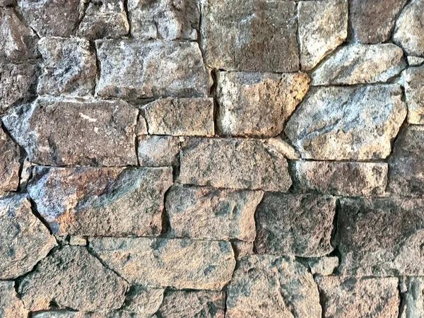 Explore Hardscape Services to Bring Your Outdoor Design Ideas to Life